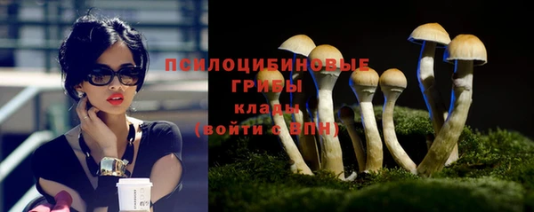 молекула духа Заволжье