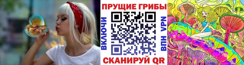 Галлюциногенные грибы ЛСД  Короча 