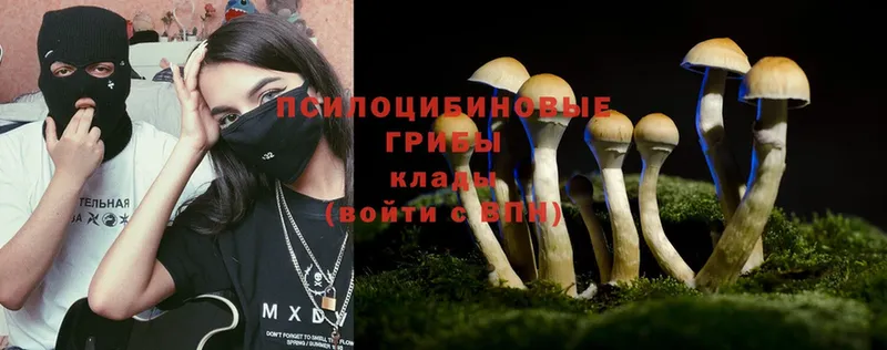 Галлюциногенные грибы MAGIC MUSHROOMS  где найти наркотики  Короча 